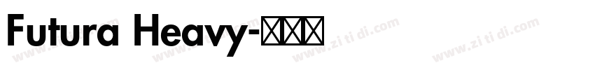 Futura Heavy字体转换